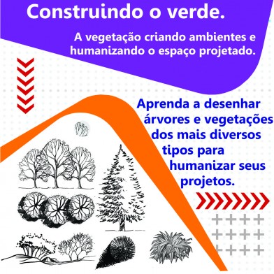 CONSTRUINDO O VERDE