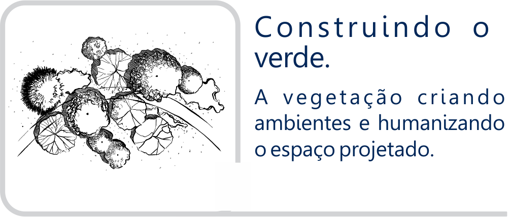 8 -CONSTRUINDO O VEREDE